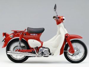 リトルカブ（AA01）